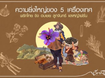 ความยิ่งใหญ่ของ 5 เครื่องเทศ พริกไทย ขิง อบเชย ลูกจันทร์ และหญ้าฝรั่น