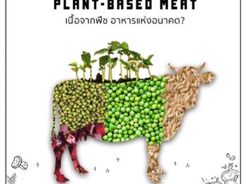 Plant-based Meat: เนื้อจากพืช อาหารแห่งอนาคต?