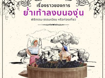 เรื่องราวของการย่ำเท้าลงบนองุ่น  พิธีกรรม ธรรมเนียม หรือท่องเที่ยว