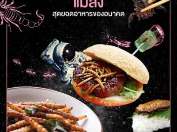 แมลง…สุดยอดอาหารของอนาคต