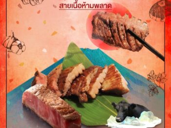 เซนไดวากิว : สายเนื้อห้ามพลาด